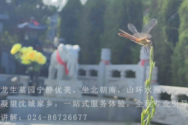 在沈阳墓地祭祀先祖敬香时有哪些注意事项？