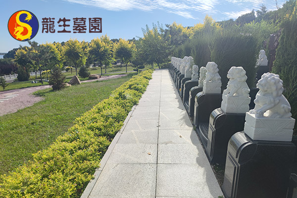 沈阳墓园官网开展拥军活动，致敬人民子弟兵！